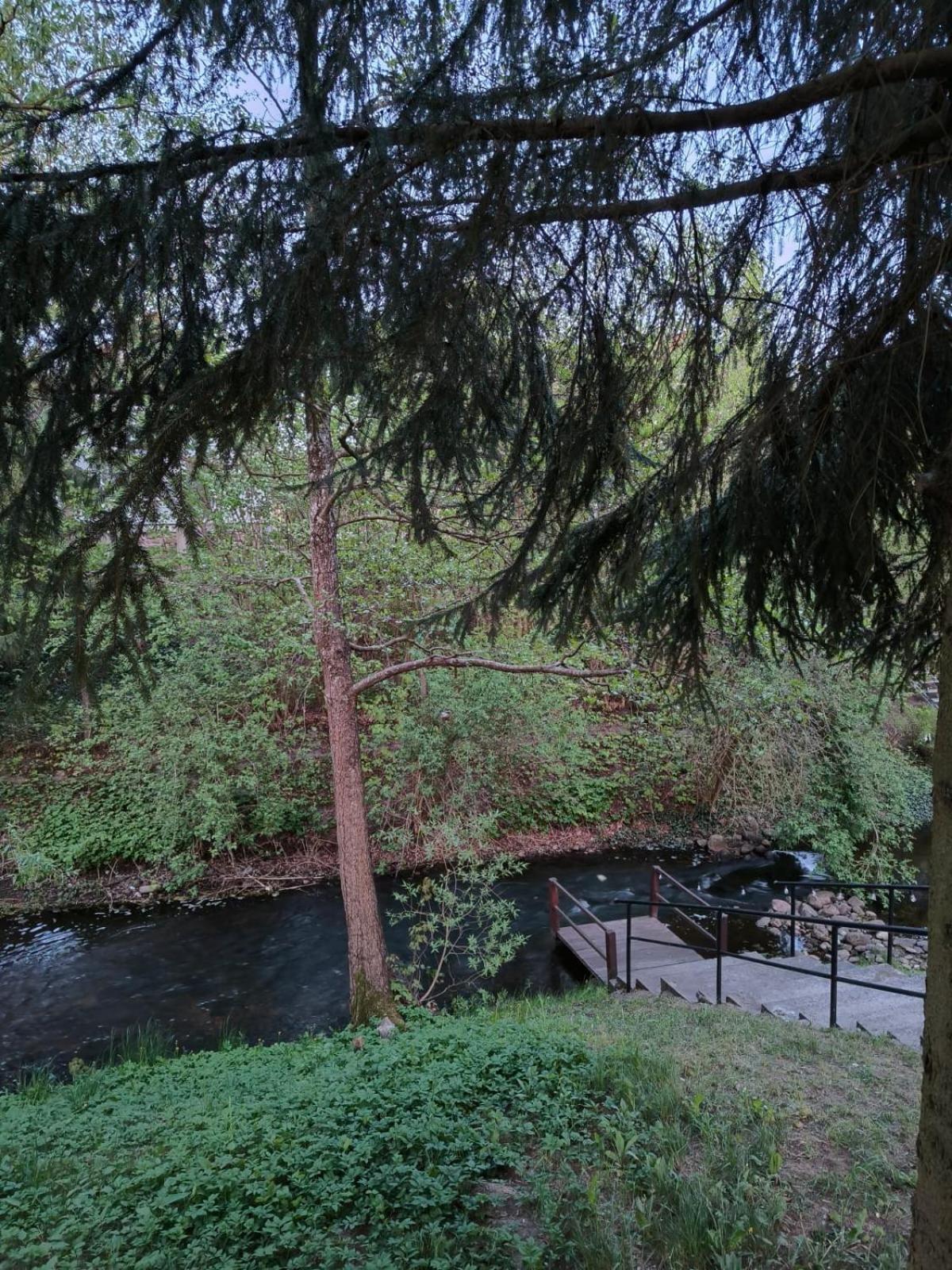 Pod Kogutkiem Villa Kruklanki Exteriör bild