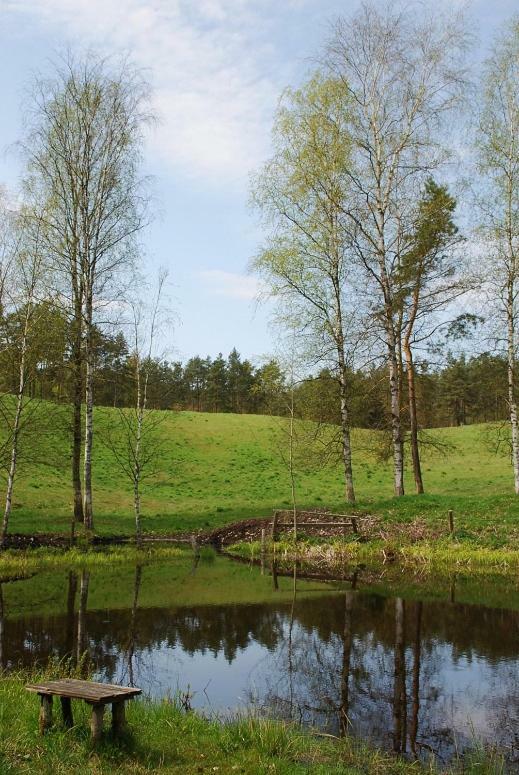 Pod Kogutkiem Villa Kruklanki Exteriör bild